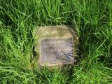 image of grave number 789605